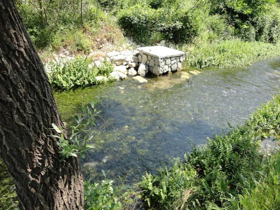Water Spring Villa Hrvace Exteriör bild