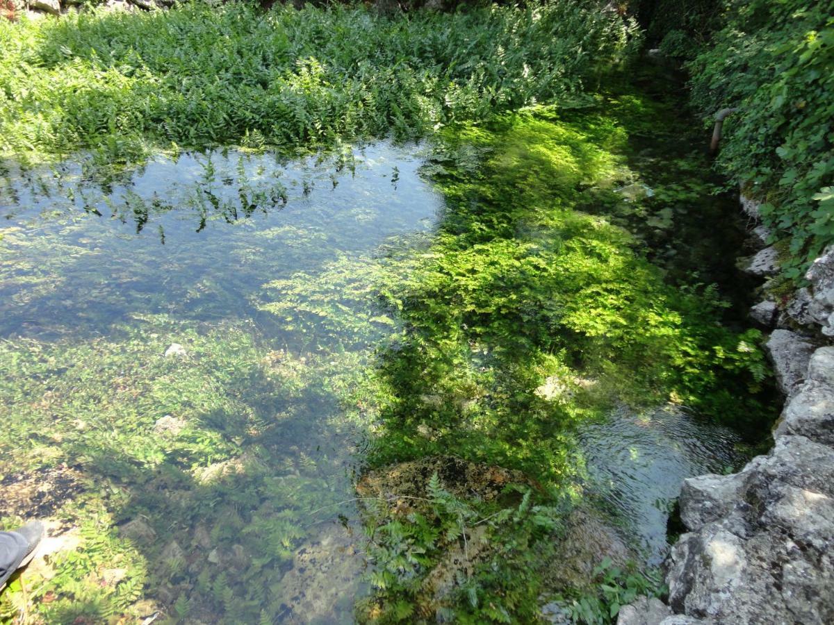 Water Spring Villa Hrvace Exteriör bild